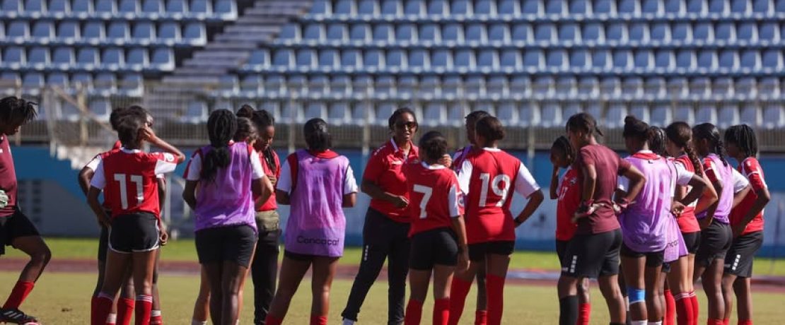 (Image obtained at thettfa.com)